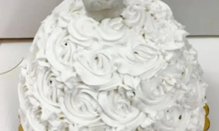 Swiss Castle Bakery  PG Road